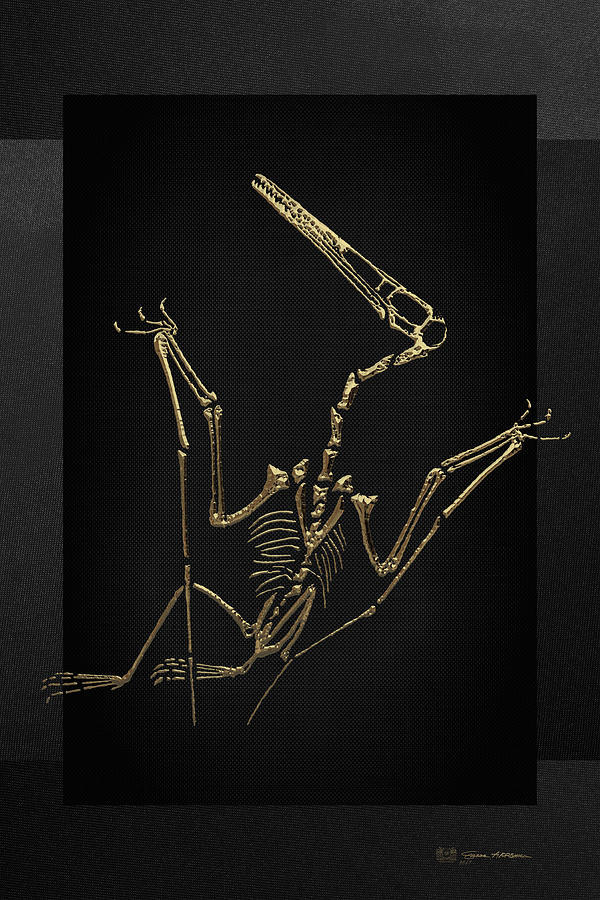 Fossil Record - Gold Pterodactyl Fossil on Black Canvas #4 Digital Art by Serge Averbukh