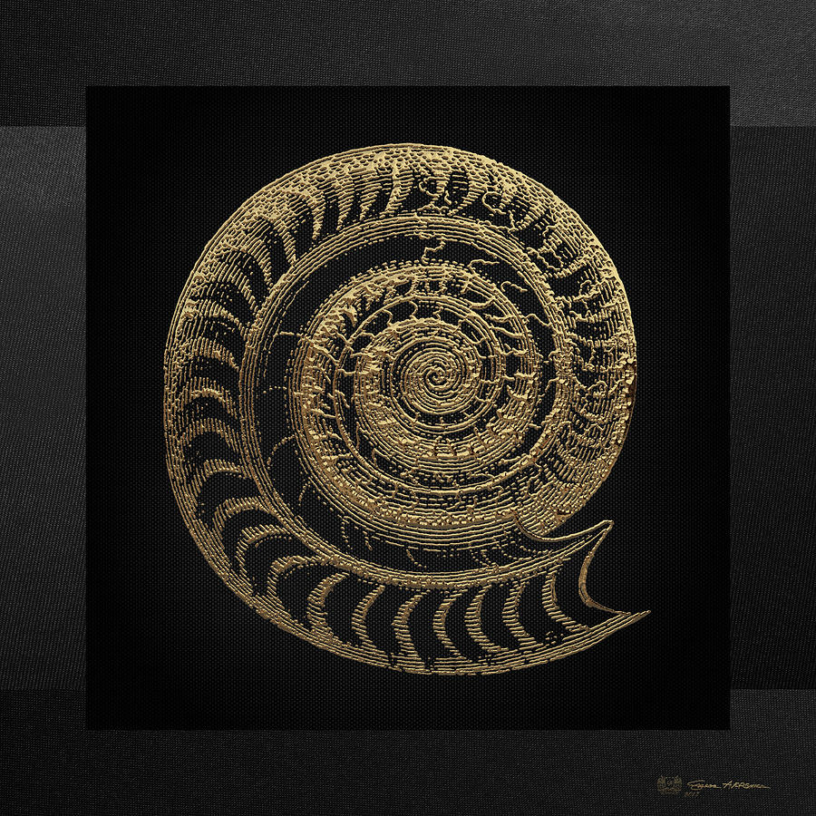 Fossil Record - Golden Ammonite Fossil on Square Black Canvas # Digital Art by Serge Averbukh