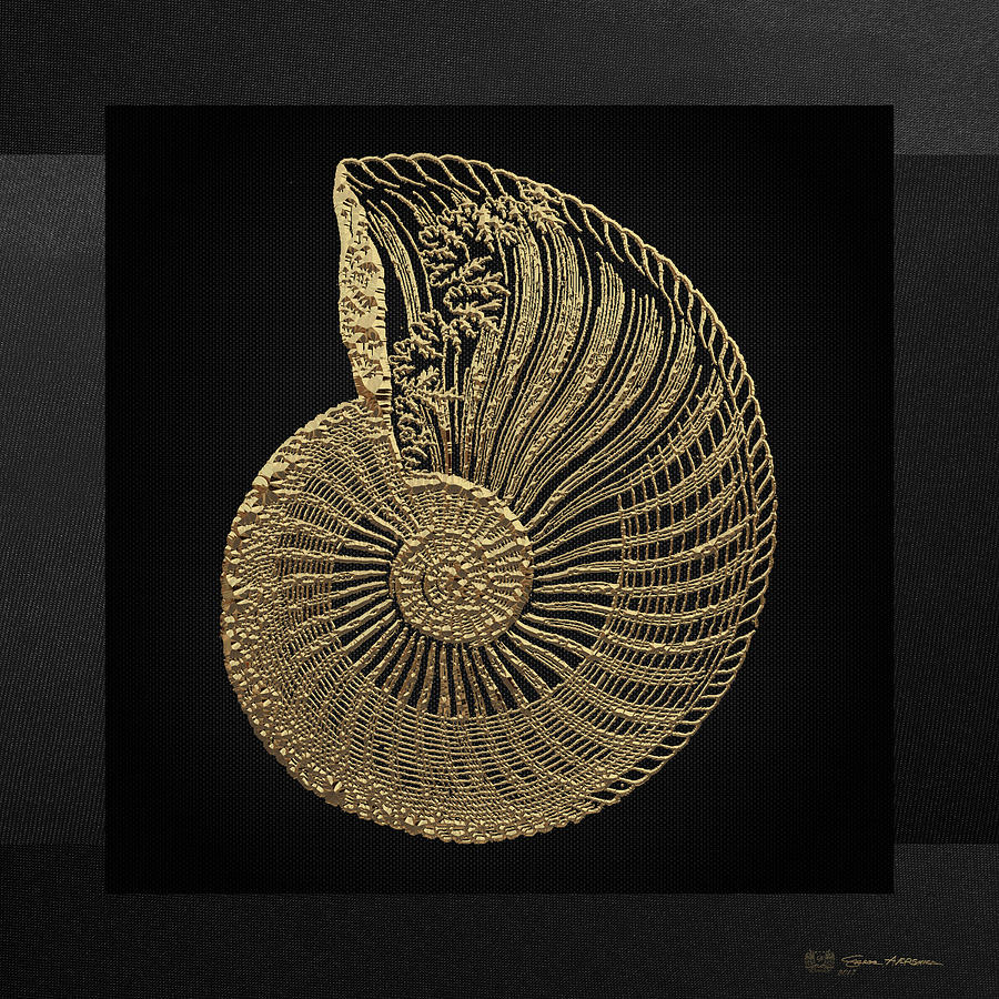 Fossil Record - Golden Ammonite Fossil on Square Black Canvas #1 Digital Art by Serge Averbukh