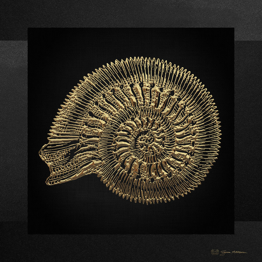 Fossil Record - Golden Ammonite Fossil on Square Black Canvas #2 Digital Art by Serge Averbukh