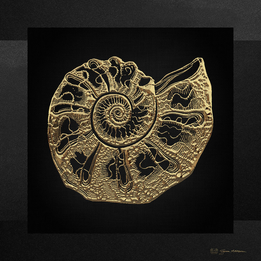 Fossil Record - Golden Ammonite Fossil on Square Black Canvas #4 Digital Art by Serge Averbukh