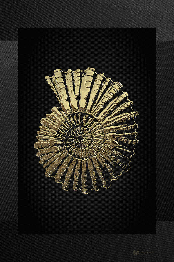 Fossil Record - Golden Ammonite on Black  Digital Art by Serge Averbukh