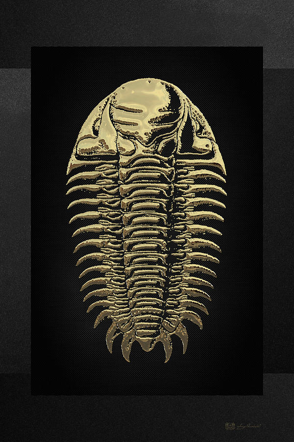 Fossil Record - Golden Trilobite on Black No. 3 Digital Art by Serge Averbukh