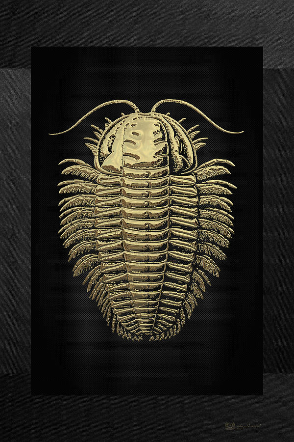 Fossil Record - Golden Trilobite on Black No.1 Digital Art by Serge Averbukh