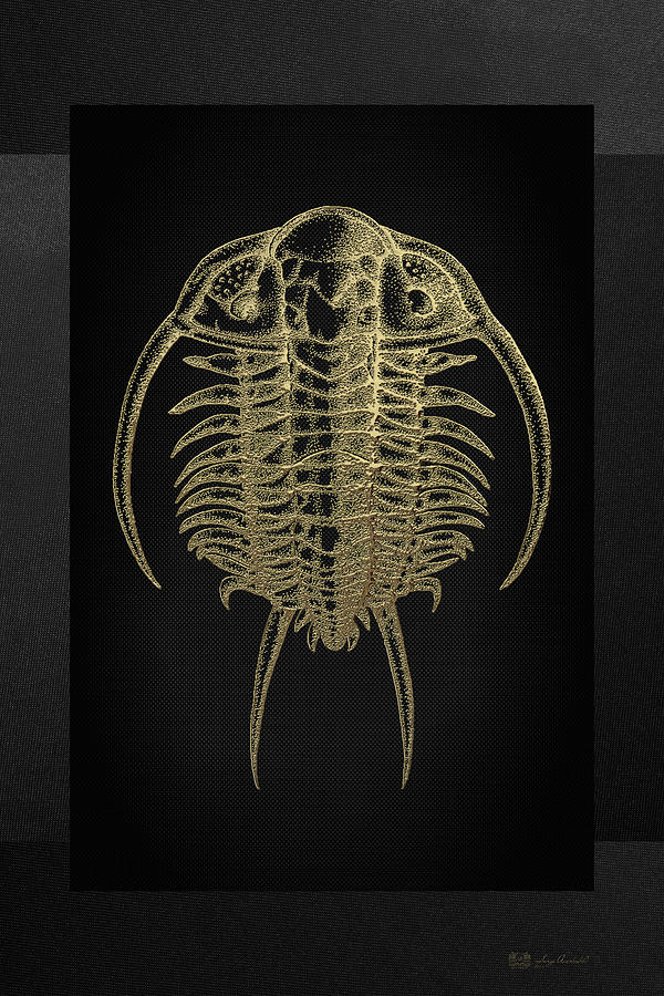 Fossil Record - Golden Trilobite on Black No.2 Digital Art by Serge Averbukh