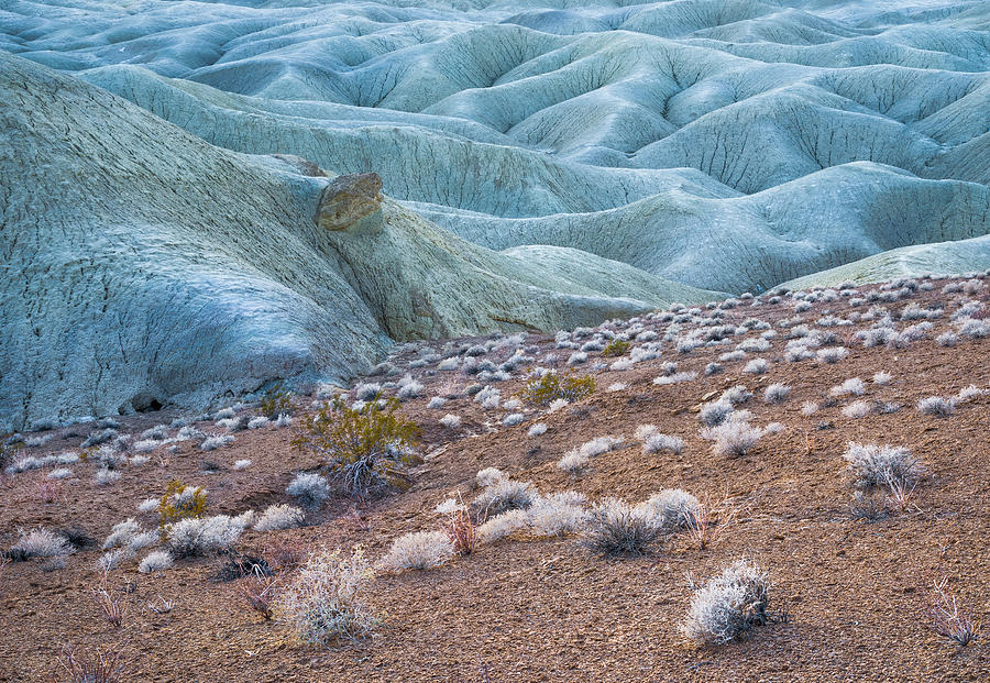 Fossil Reef and Mud Hills Photograph by Alexander Kunz - Fine Art America