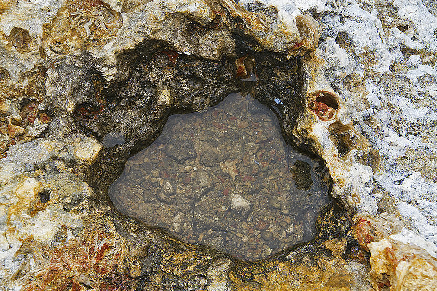 Fossil Rock Abstract 4 Photograph by Bob Slitzan