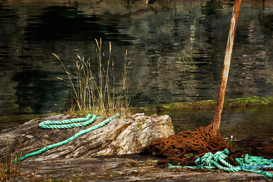 Found on the old Dock - 365-171 Photograph by Inge Riis McDonald