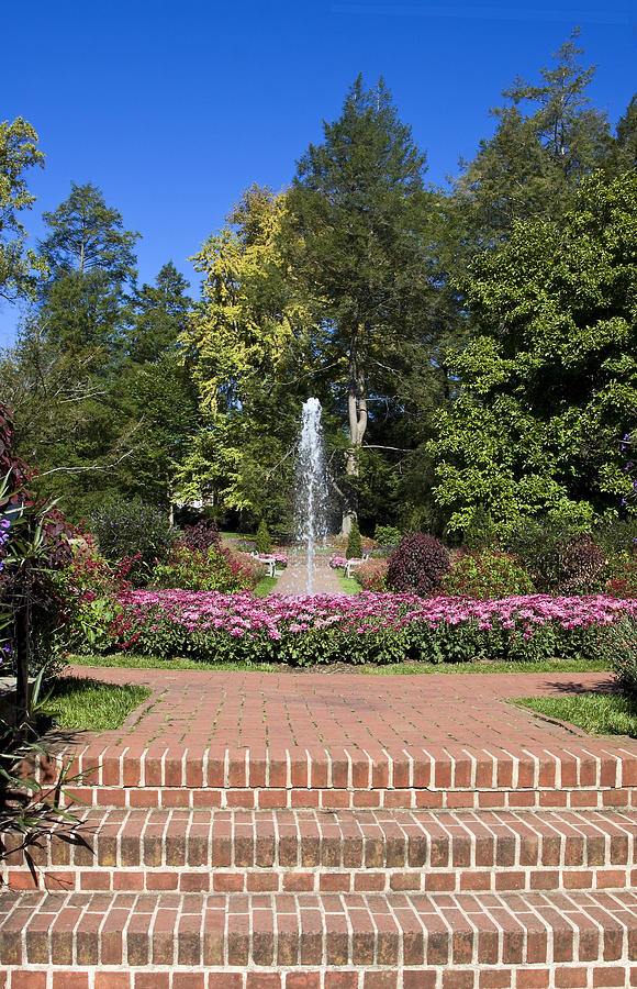 Fountain Among Flowers Photograph by Sally Weigand
