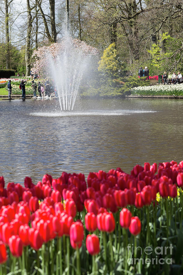 Fountain at Keukenhof Gardens Netherlands Photograph by Louise Heusinkveld