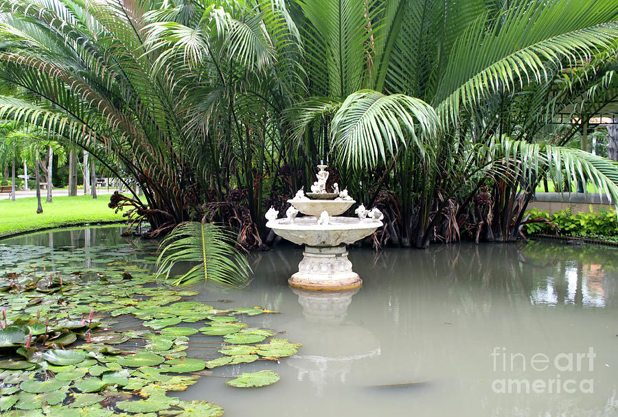 fountain at Lumphini Park in Bangkok Photograph by Michelle Meenawong
