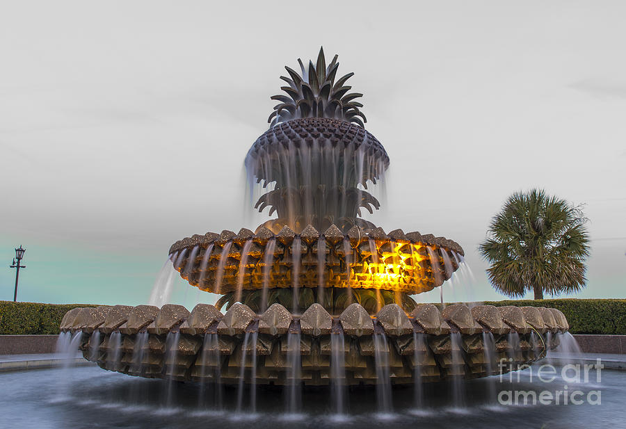 Fountain at Waterfront Park in Charleston  Photograph by David Oppenheimer