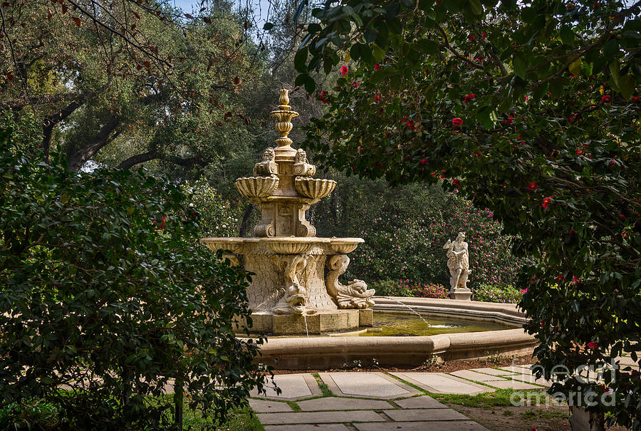 Fountain Beyond the Trees Photograph by Jamie Pham