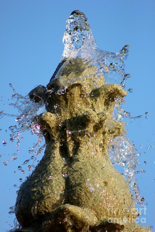 Fountain Head Photograph by Mesa Teresita