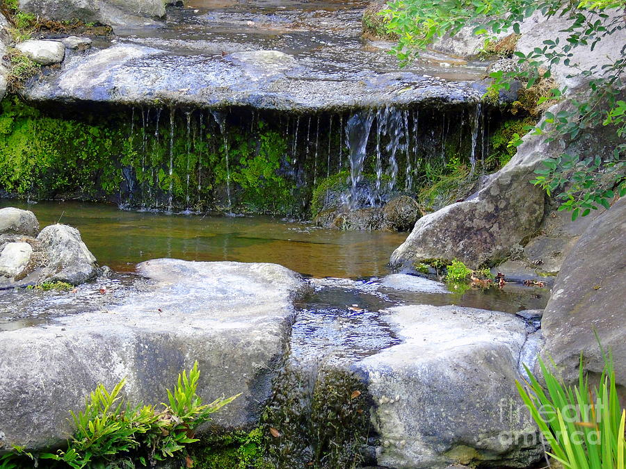 Fountain In A Japanese Garden Photograph by Susan Lafleur