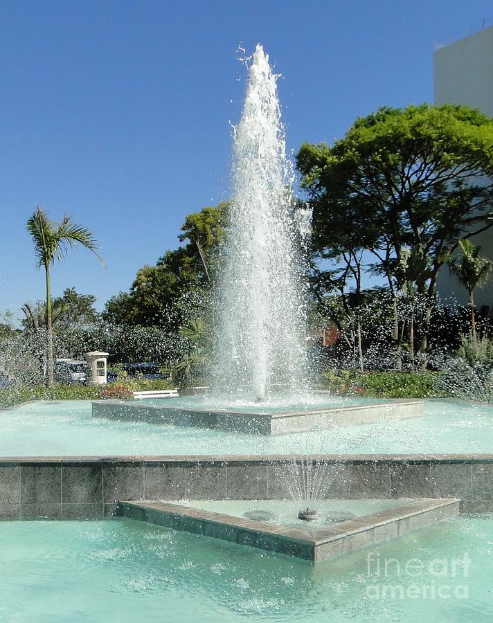 Fountain in Brazil Photograph by Barbie Corbett-Newmin
