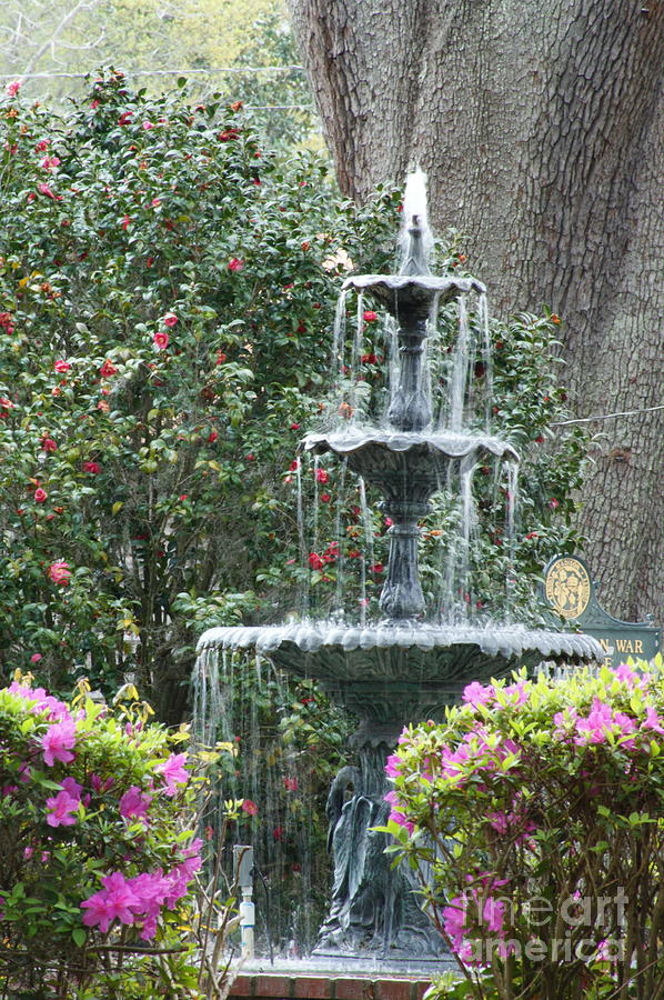 Fountain in Spring Photograph by Theresa Cangelosi