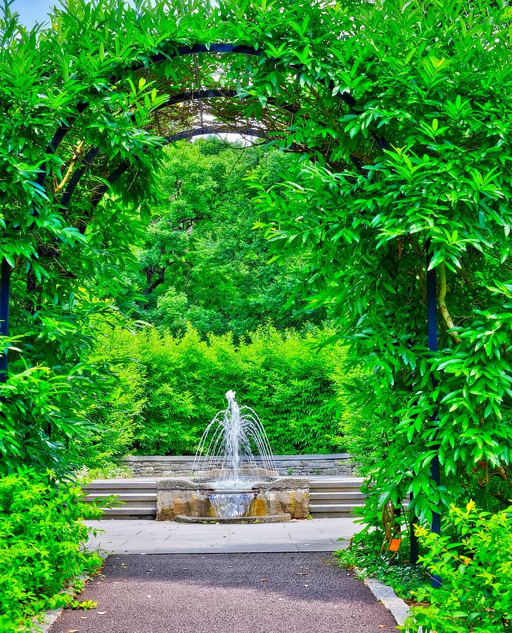 Fountain In The Forest Photograph by Ronald Watkins