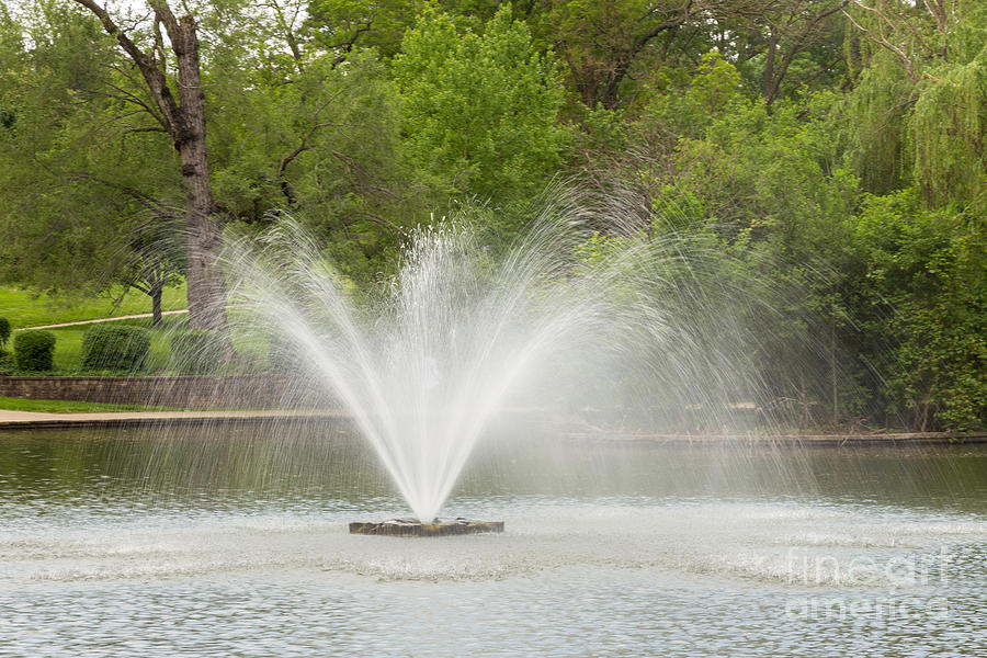 Nature Photograph - Fountain in the Pond by Terri Morris