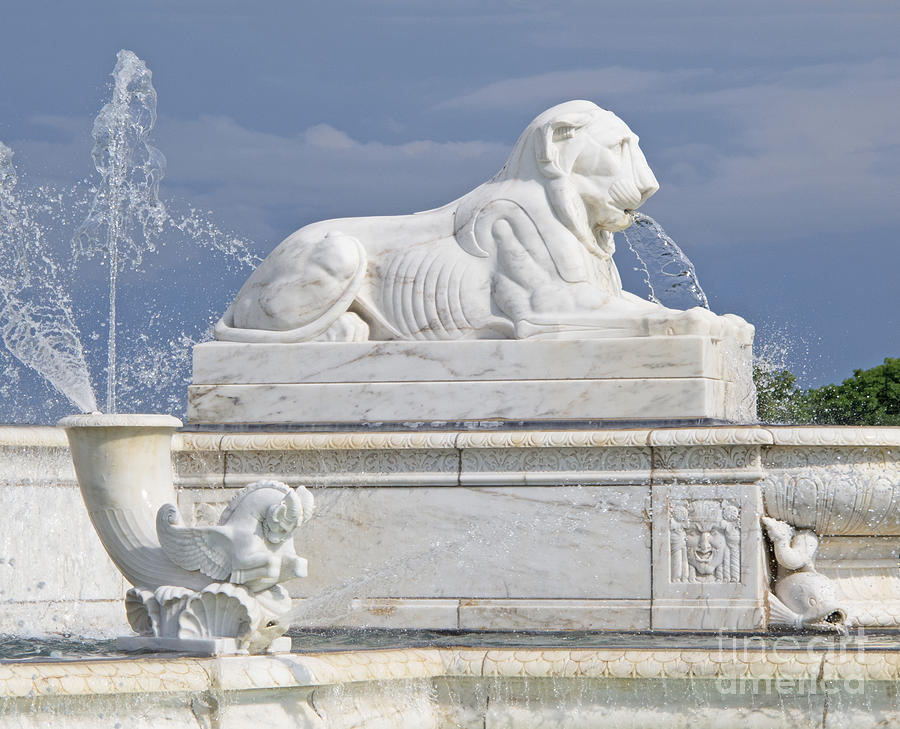 Fountain Lion Photograph by Ann Horn