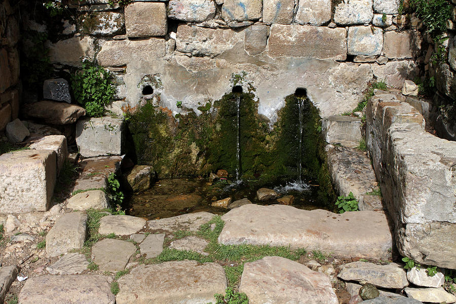Fountain Of The Inca Photograph by Aidan Moran