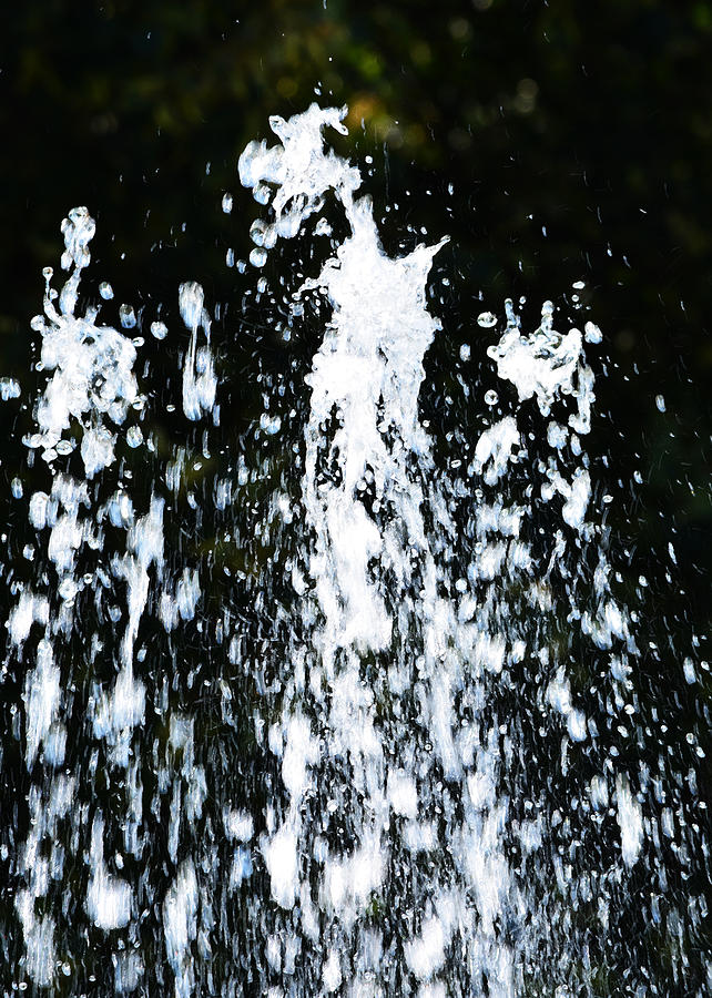 London Photograph - Fountain of Youth by Richard Andrews