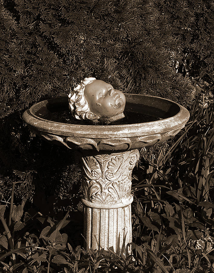 Fountain of Youth Photograph by Tom Romeo