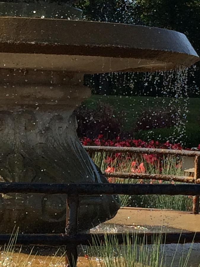 Fountain  Photograph by Samantha Lusby