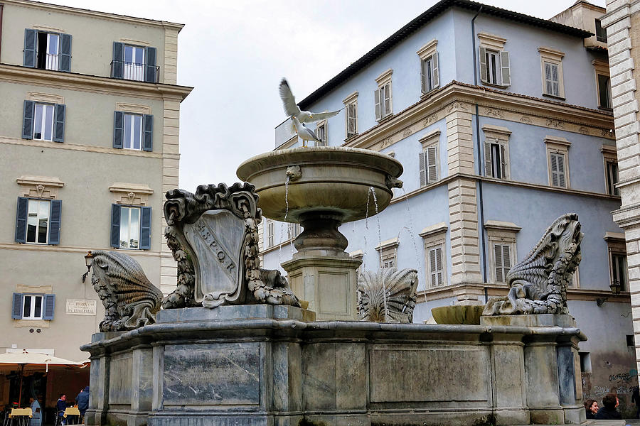 Fountain In The Trastevere Neighborhood In Rome Italy Photograph by Rick Rosenshein