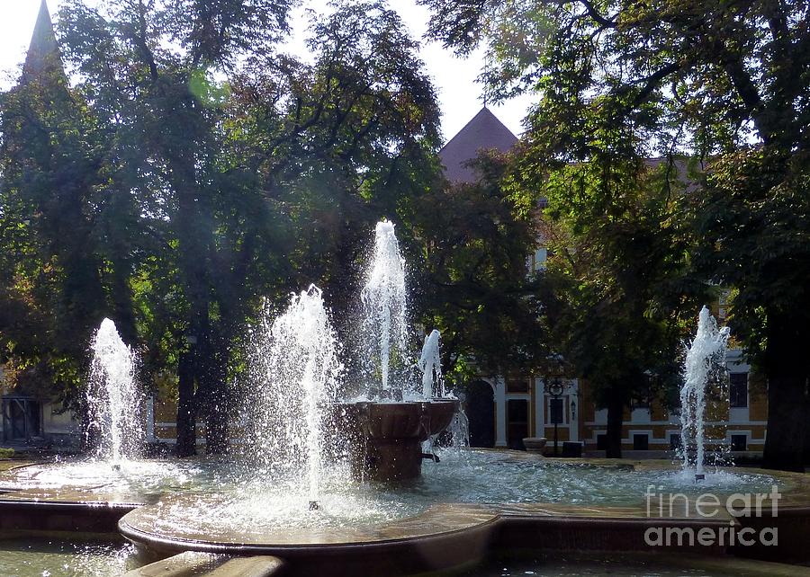 Fountains in Hungary Photograph by Barbie Corbett-Newmin