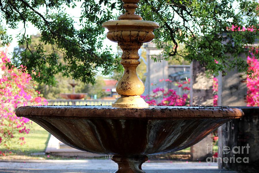 Fountains Photograph by Mesa Teresita