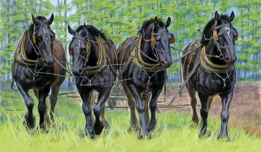 four black percherons abreast rick clubb