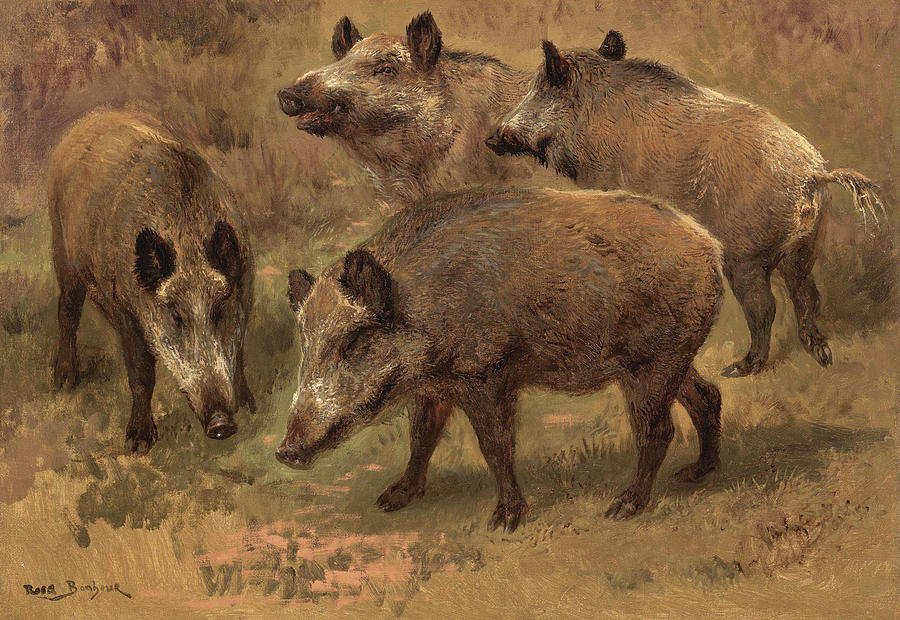 Four Boars in a Landscape Painting by Rosa Bonheur