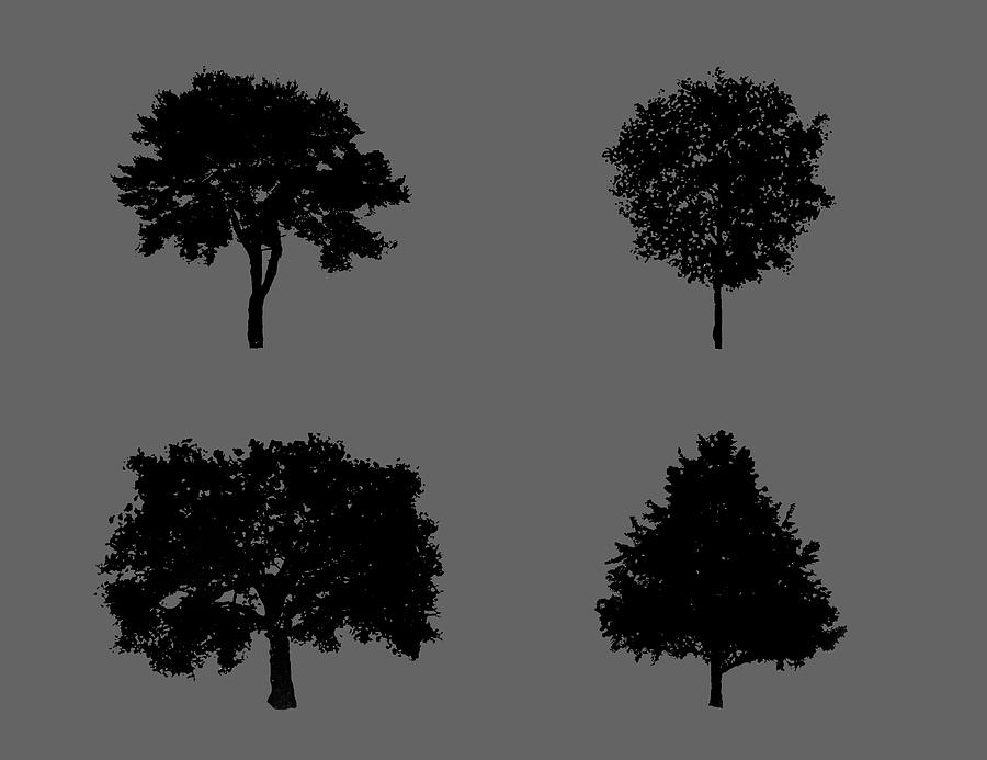 Four Busy Trees 2 Digital Art by Roy Pedersen