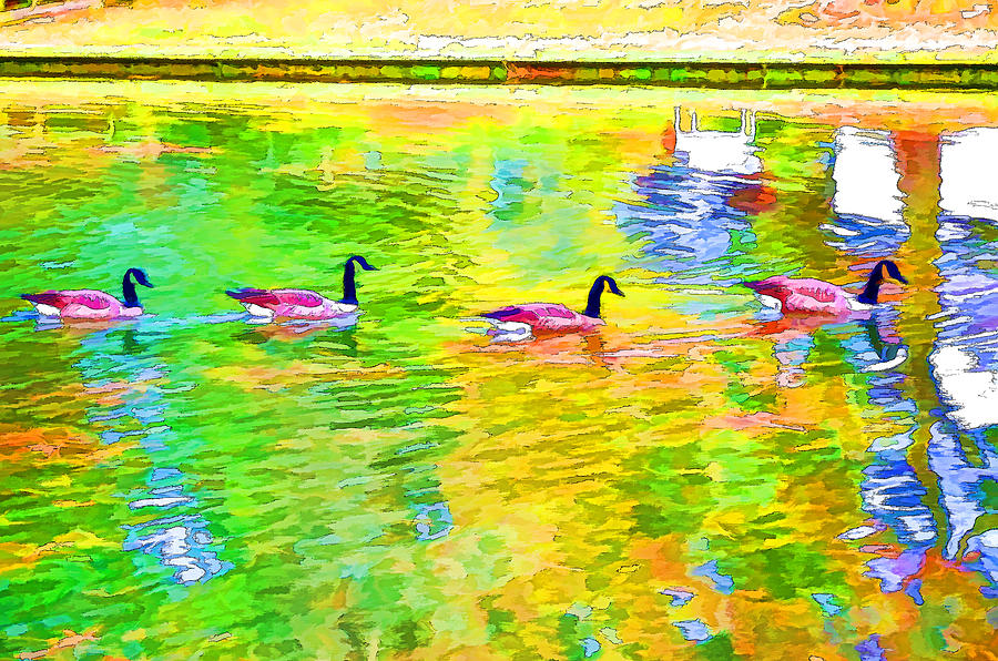 Four Canadian geese in the water 1 Painting by Jeelan Clark
