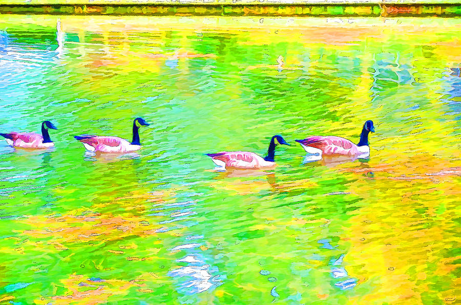 Four Canadian geese in the water Painting by Jeelan Clark