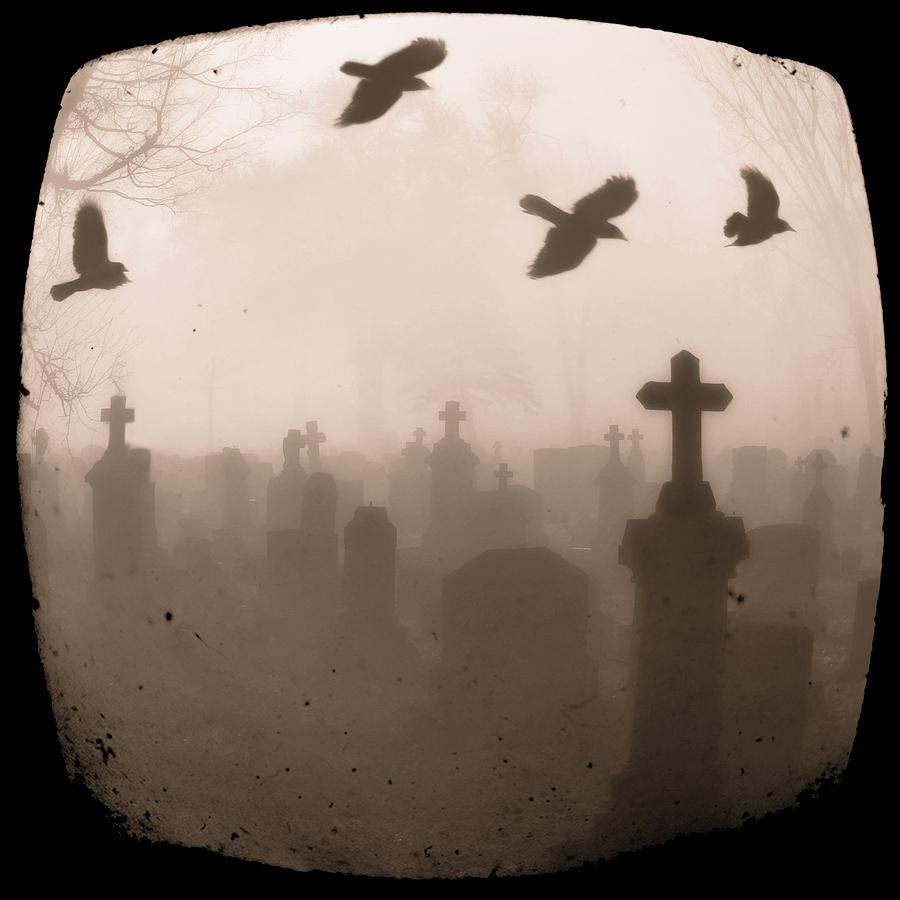 Four Crows Fly Through The Dark And Foggy Cemetery Photograph By 