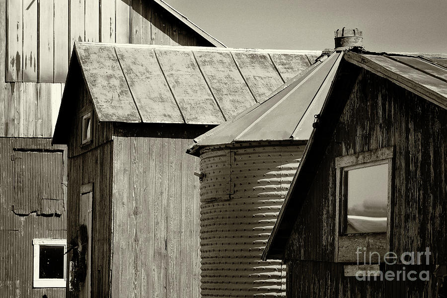 Four Farm Buildings Sepia Photograph by Karen Adams