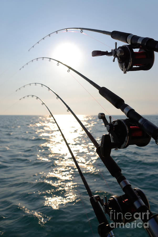 Lake Michigan Photograph - Four Fishing Rods at Sunrise by Paul Velgos