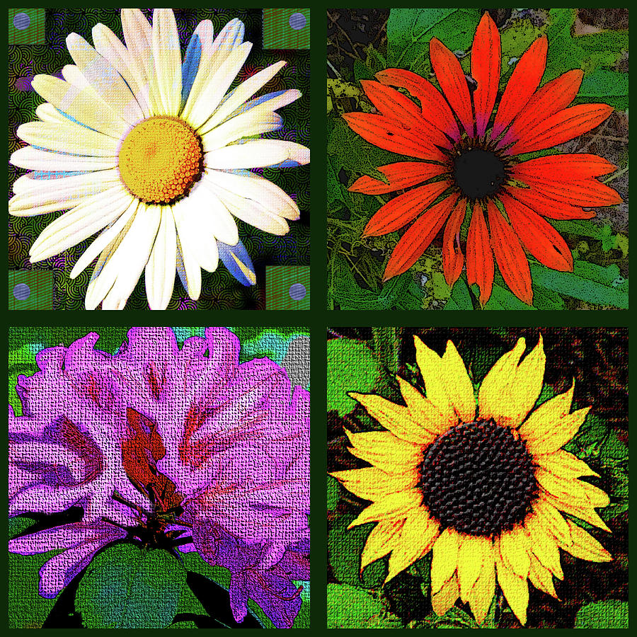 Four Flowers Digital Art by Rod Whyte