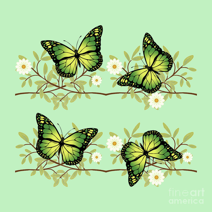 Nature Photograph - Four green butterflies by Gaspar Avila