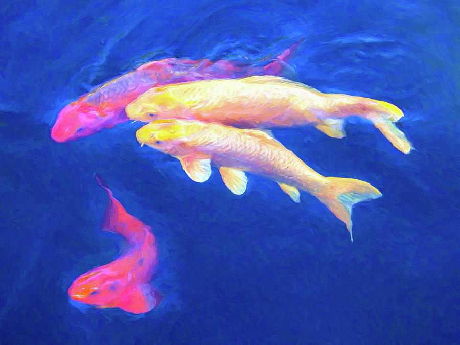 Four Koi Painting by Dominic Piperata