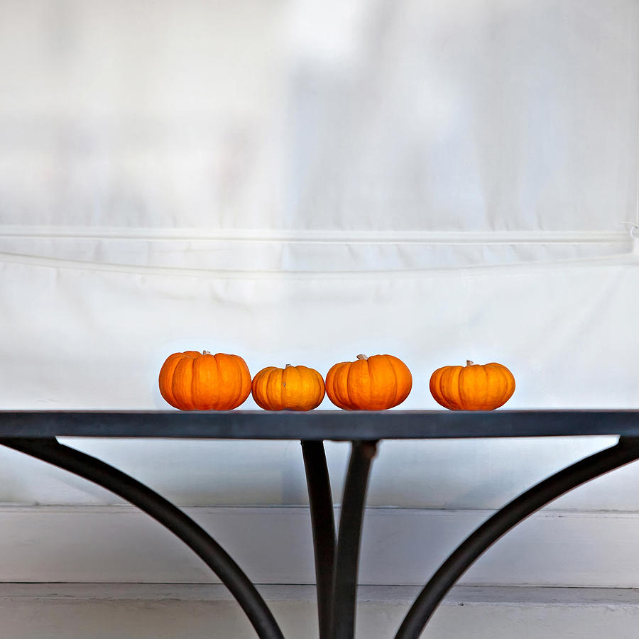 Fall Photograph - Four Little Pumpkins by Art Block Collections