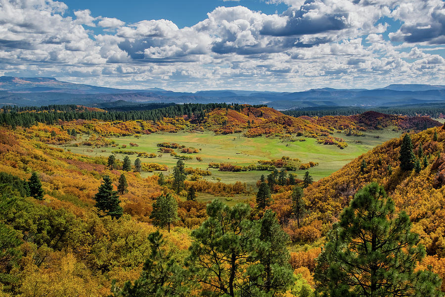 Landscape Photograph - Four Mile Road Peak Color by Jason Coward Landscape Photograph - Four Mile Road Peak Color by Jason Coward