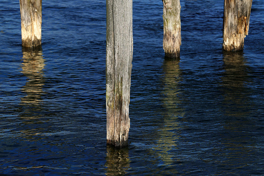 Four Old Pilings Photograph by Mary Bedy
