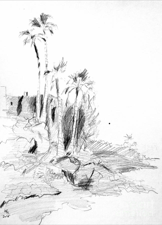 Four Palms  Drawing by Karina Plachetka