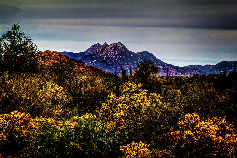 Four Peaks from Jacobs Crosscut Trail Photograph by Roger Passman