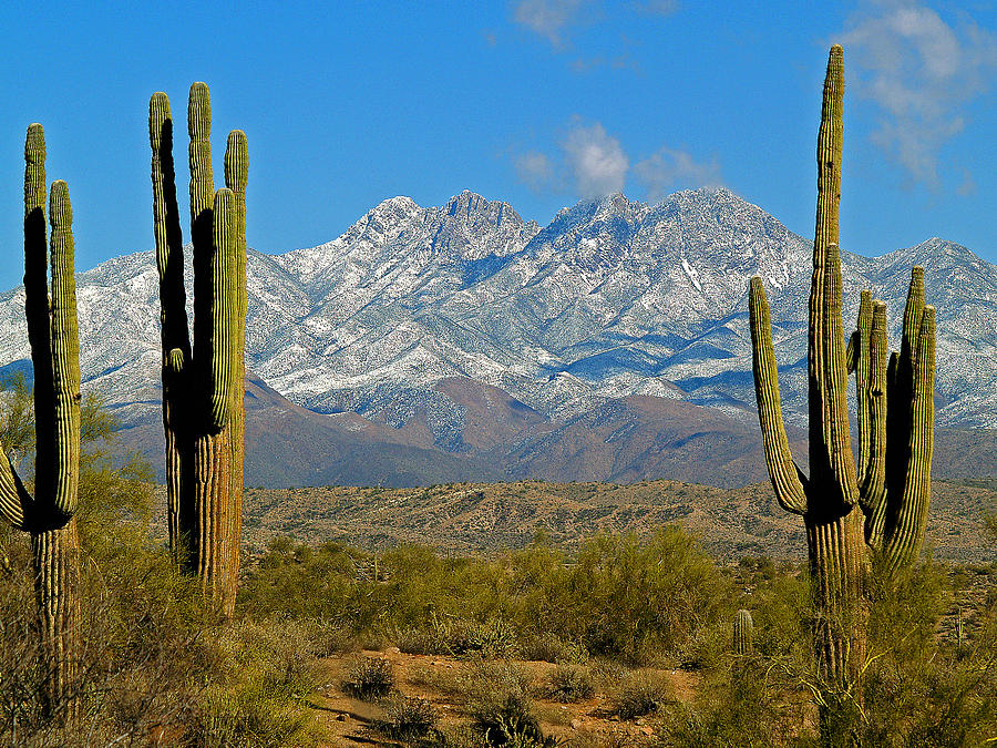 Four Peaks in Snow 7 Photograph by JustJeffAz Photography