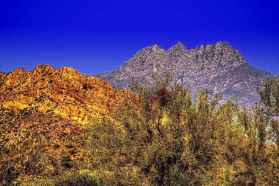 Four Peaks Spring No. 1 Photograph by Roger Passman