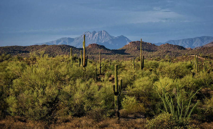 Four Peaks on the Horizon Photograph by Saija Lehtonen - Fine Art America